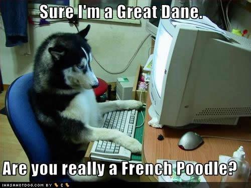 559699_570375586317154_177649354_n